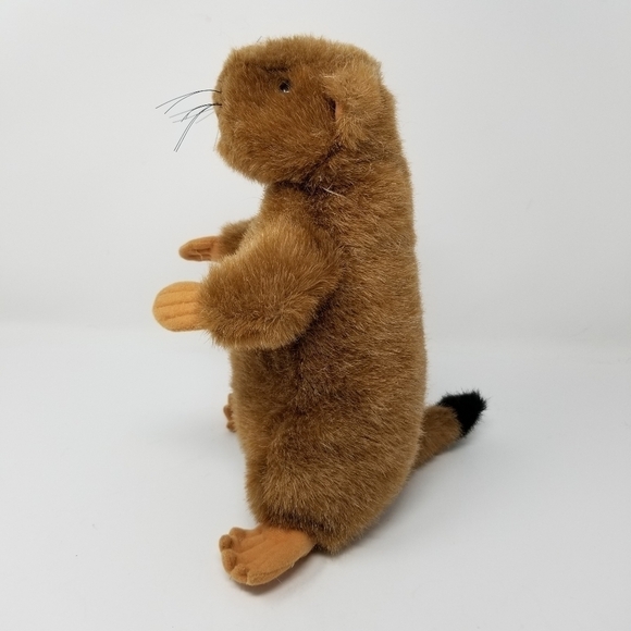Groundhog Plush Soundprints 1992 Stuffed Animal 90s Wildlife Realistic - Picture 5 of 16